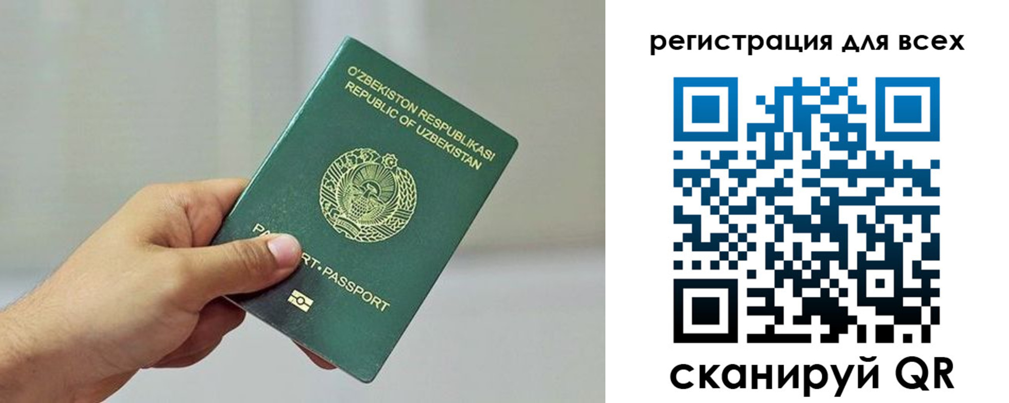 временная регистрация поиск в Михайловке
